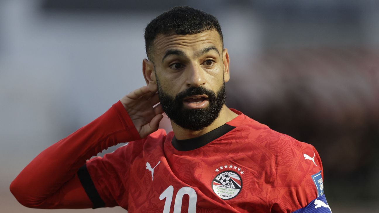 FIFA要求埃及队移除球衣七颗星 世界杯装备再调整